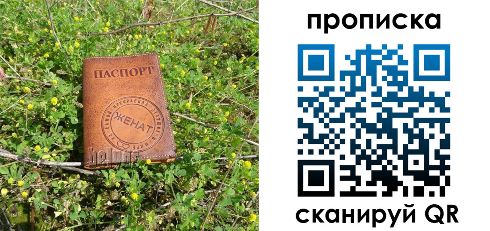 прописка в Перми